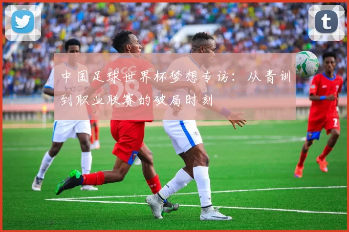 中国足球世界杯梦想专访：从青训到职业联赛的破局时刻