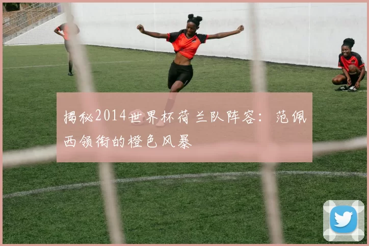揭秘2014世界杯荷兰队阵容：范佩西领衔的橙色风暴