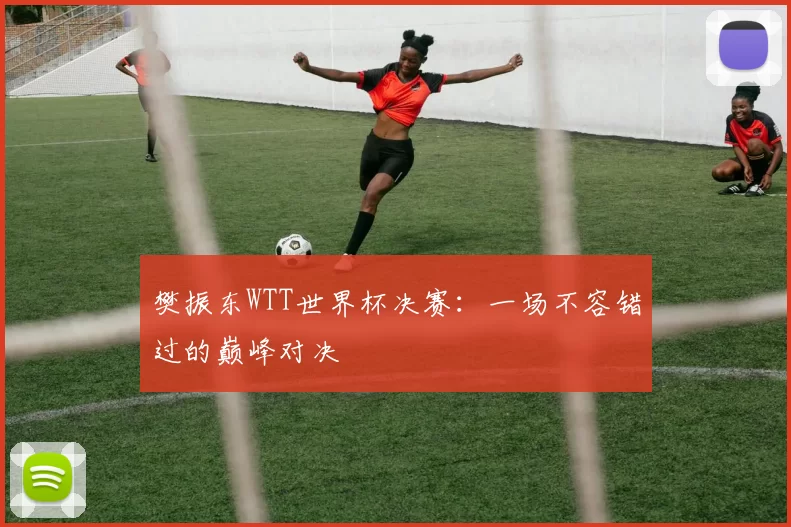 樊振东WTT世界杯决赛:一场不容错过的巅峰对决