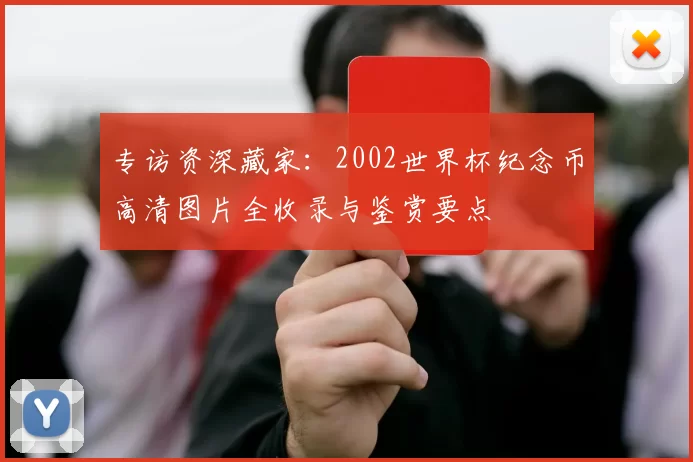 专访资深藏家：2002世界杯纪念币高清图片全收录与鉴赏要点