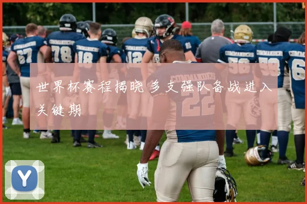 世界杯赛程揭晓 多支强队备战进入关键期