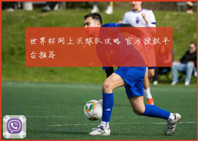 世界杯网上买球队攻略 官方授权平台推荐