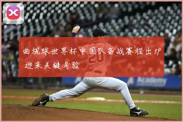 曲棍球世界杯中国队备战赛程出炉 迎来关键考验